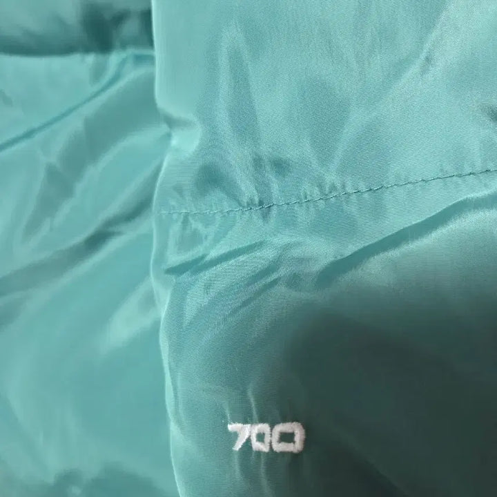 [BUNJANG] The North Face 700 Fill Eco Nuptse Goose Down Puffer Jacket / 노스페이스700필 에코눕시  구스패딩110