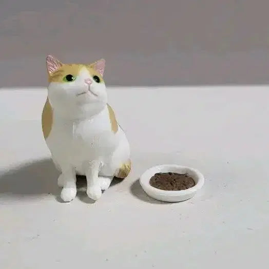 [BUNJANG] Cat&