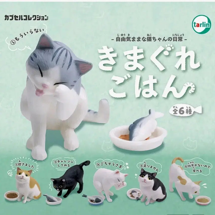 [BUNJANG] Cat&