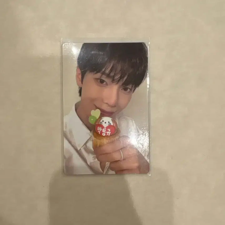[BUNJANG] DK Photocard Archive / 튜넥스 박동규 포카 포토카드 보플 전시회 아카이브