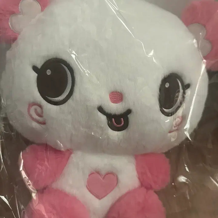 [BUNJANG] NCT Wish Sakuya 30cm Wish Doll / NCT wish 30cm 위시돌 팡이 / 사쿠야