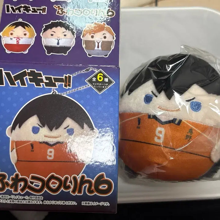 [BUNJANG] Haikyu Kageyama Second Uniform Fuwa Kororin Plush / 하이큐 후와코로링 카게야마 세컨드 유니폼 S 미개봉