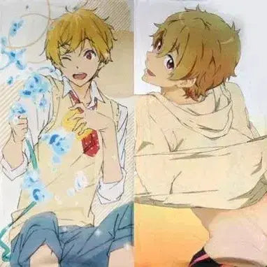 [BUNJANG] Free! Nagisa Hazuki Dakimakura Pillow Cover / 프리! free! 하즈키 나기사 롱 쿠션 다키마쿠라 베개 커버