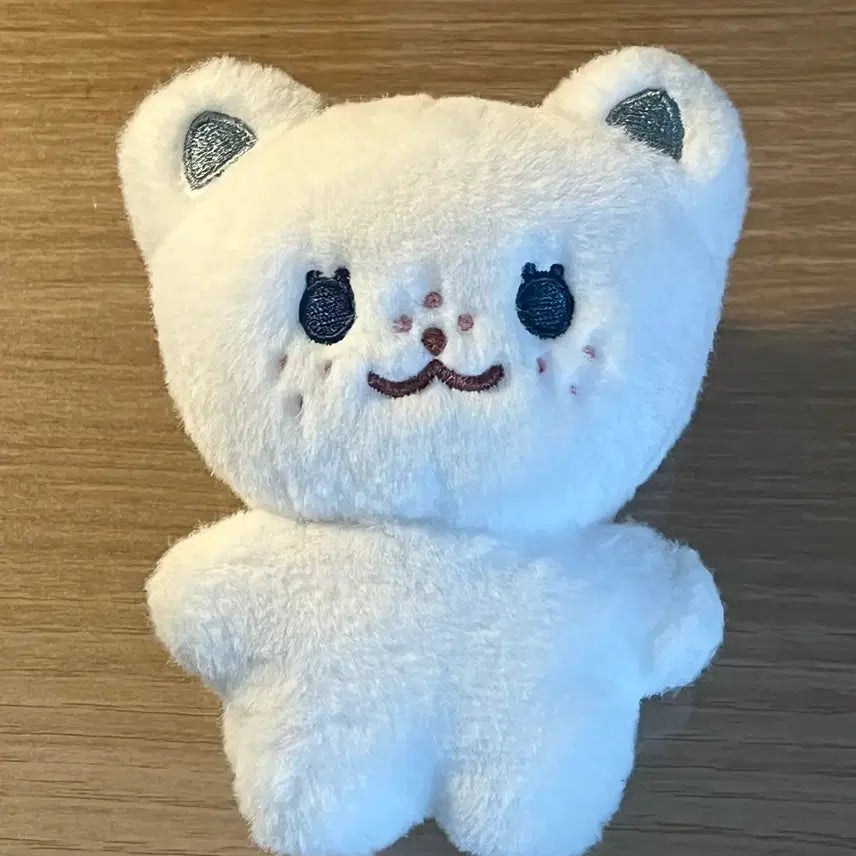 스트레이키즈 필릭스 인형 뽁냥이 양도