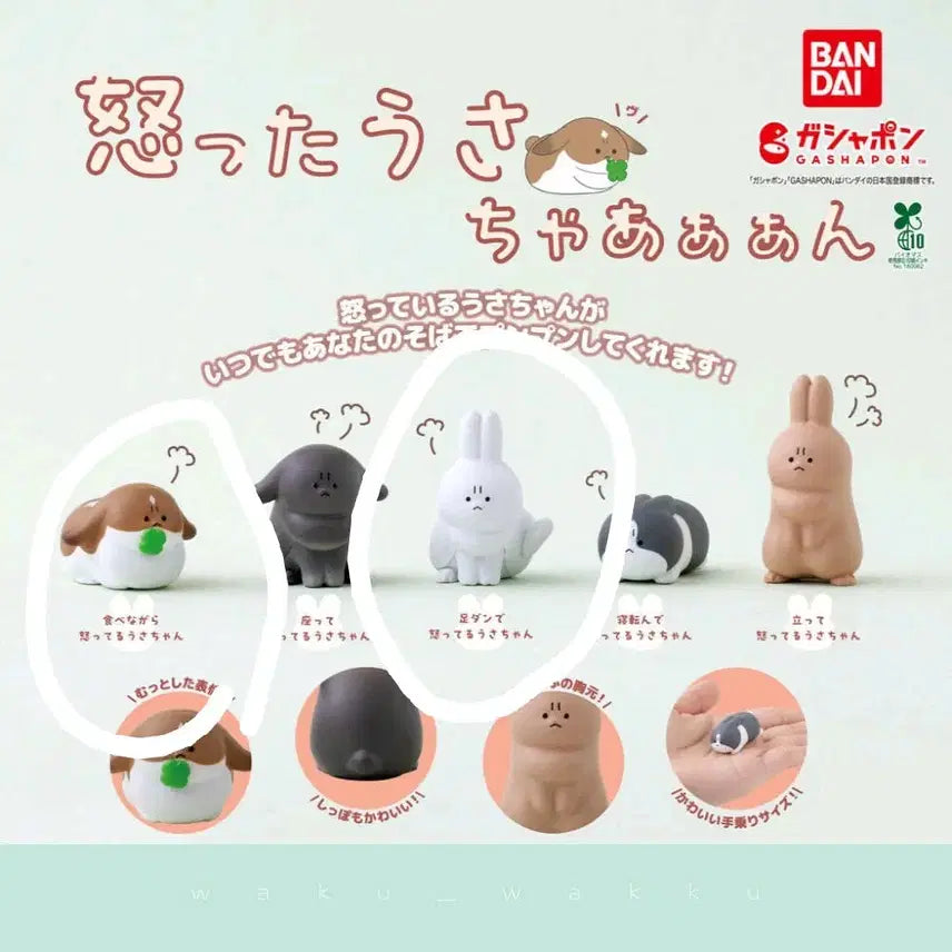 [SOLD OUT] 화난토끼 가챠 (1번째) 새상품