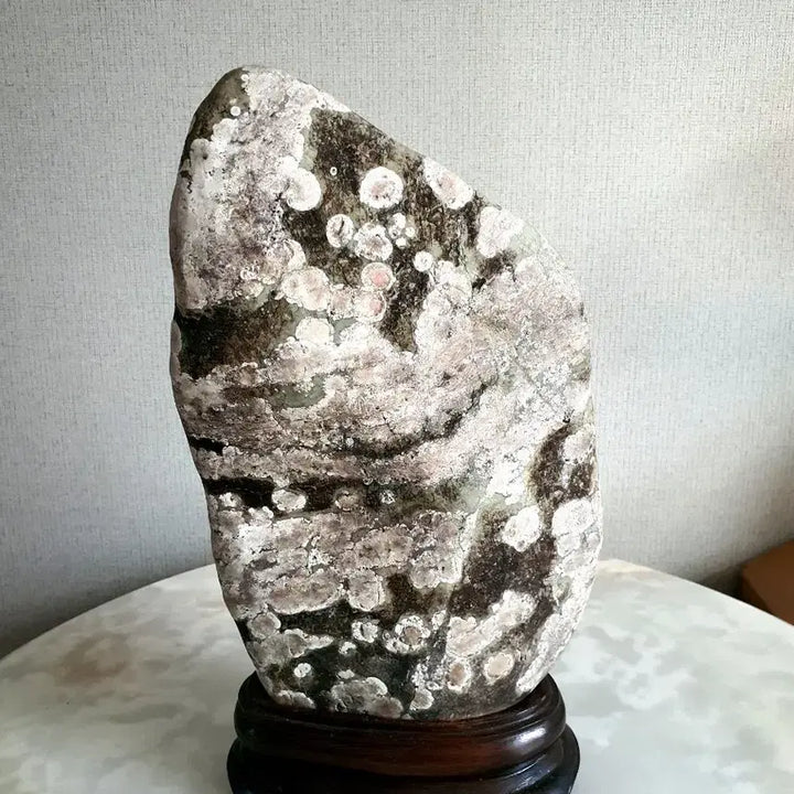[BUNJANG] Chinamap Stone - Decorative Stone / 수석- 화문옥