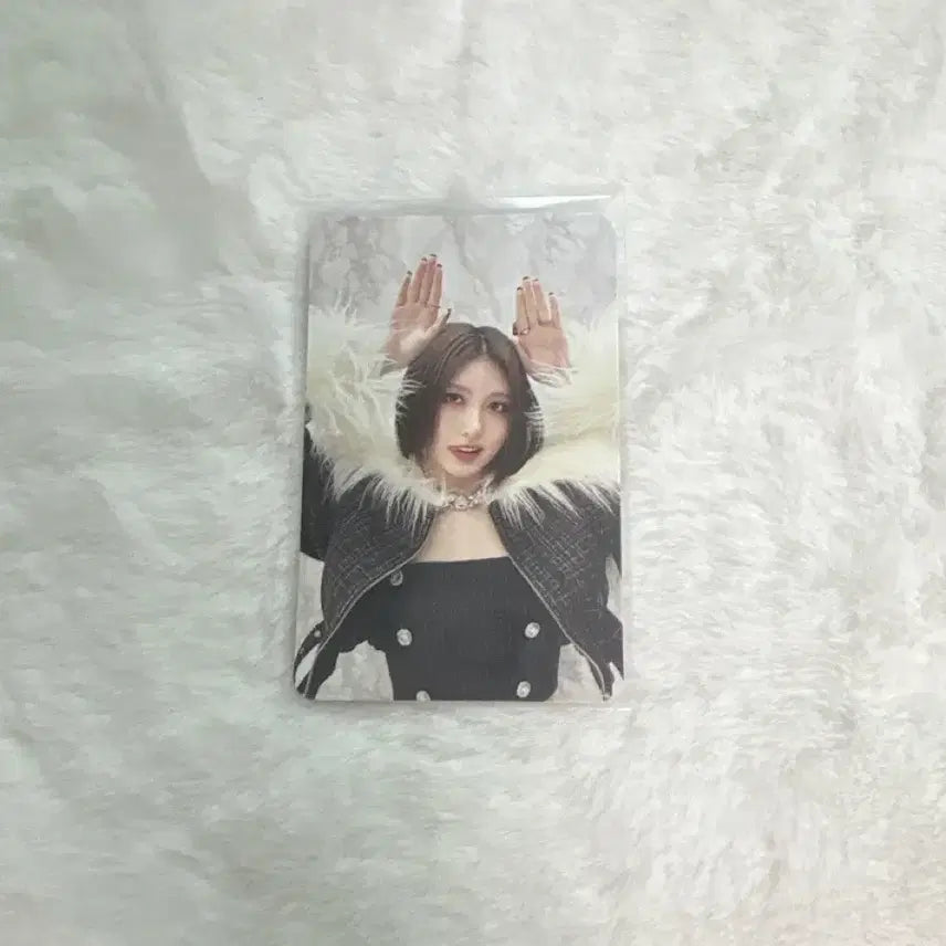 아이브 가을 스페셜 포카 판매합니다