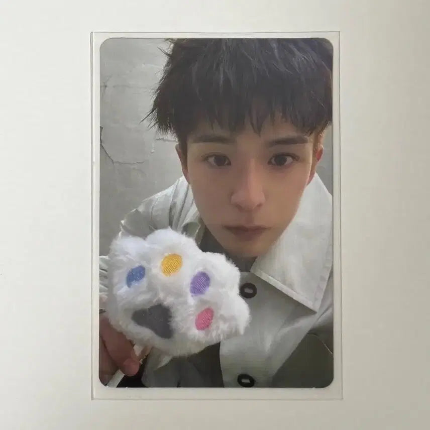 트레저 아사히 플레저 pleasure 초도한정 포토카드 포카