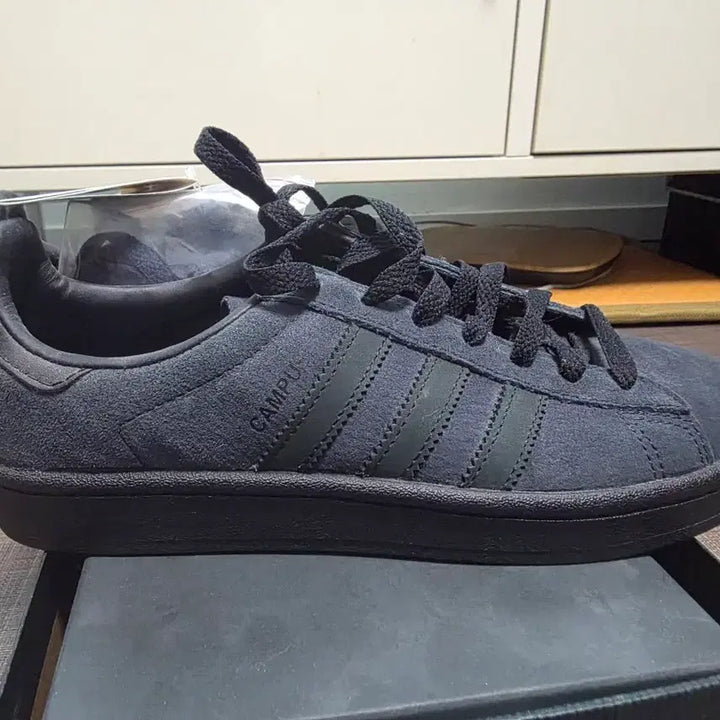 [BUNJANG] Adidas 250 / 어디다스 250