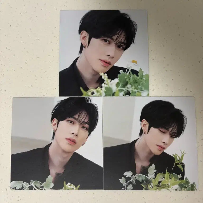 [BUNJANG] ZB1 Ricky RE-FLOW Postcard / 제베원 RE-FLOW 엽서 리키 3장