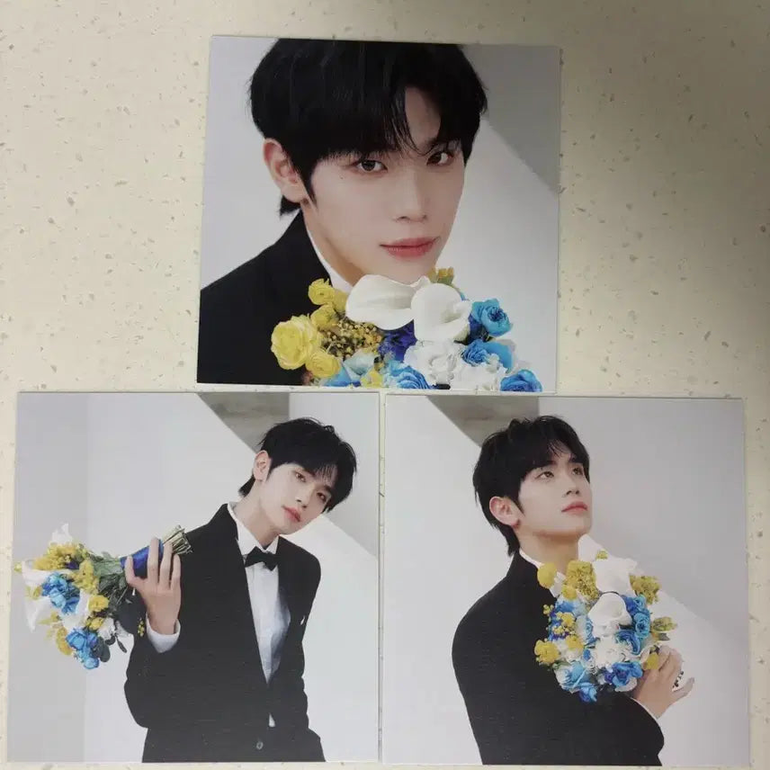 [BUNJANG] ZB1 Taerae RE-FLOW Postcard / 제베원 RE-FLOW 엽서 김태래 3장