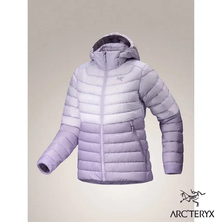 [BUNJANG] Arc'teryx Cerium Hoody Jacket / 아크테릭스 세륨 후디