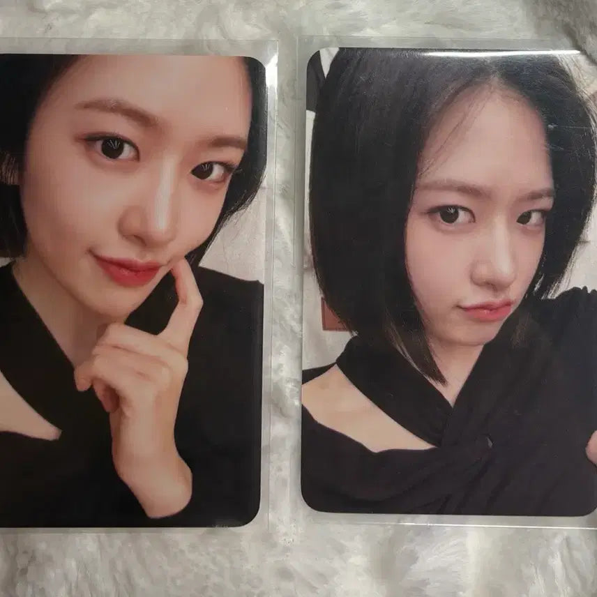 아이브 유진 포카(일괄 0.35)