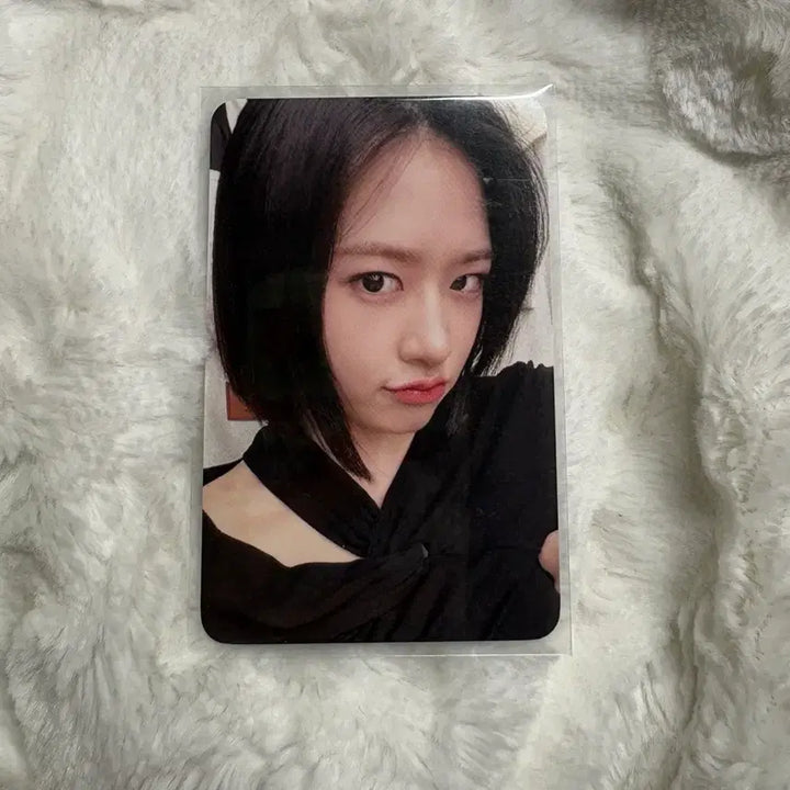 아이브 유진 포카(일괄 0.35)