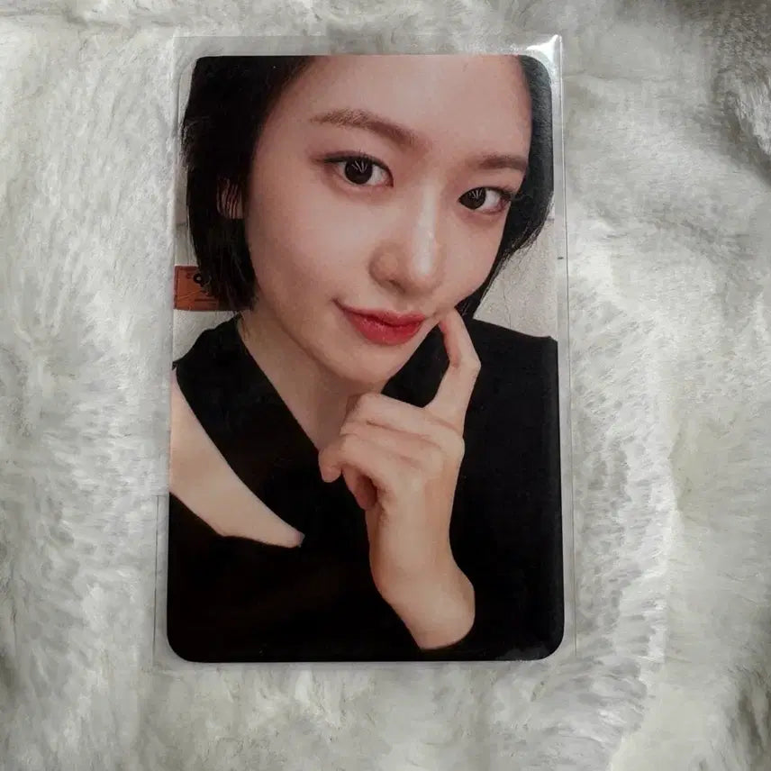 아이브 유진 포카(일괄 0.35)