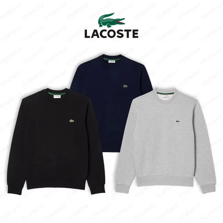 [BUNJANG] Lacoste Unisex Round Neck Sweatshirt / [촬영용 새상품/무배] 라코스테 정품 남여공용 라운드 맨투맨