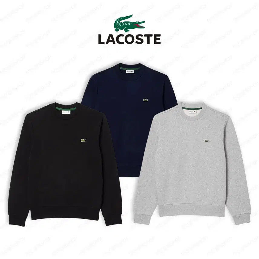 [BUNJANG] Lacoste Unisex Round Neck Sweatshirt / [촬영용 새상품/무배] 라코스테 정품 남여공용 라운드 맨투맨