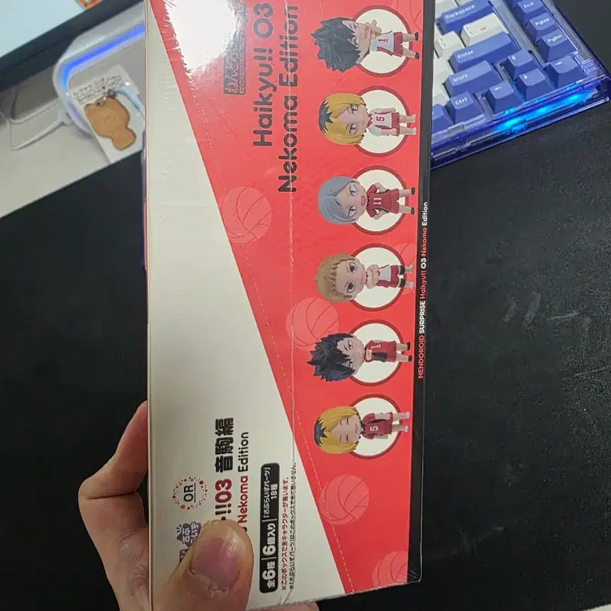 [BUNJANG] Nekoma Surprise Figure Full Package / 하이큐  넨도 서프라이즈 네코마 피규어 풀박스 풀세트 판매