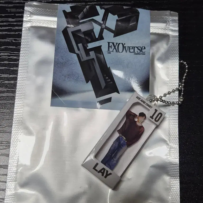 엑소 레이 미니어쳐 키링