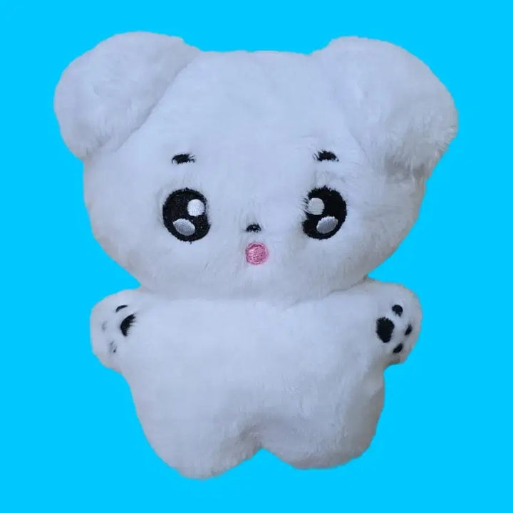 [BUNJANG] EVNNE Park Jihoo Jjukongi Doll / 이븐 evnne 박지후 쮸콩이 인형