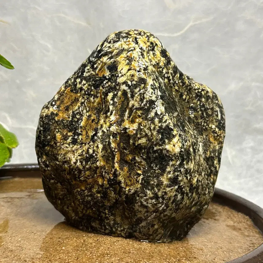 [BUNJANG] Geumgang Tiger Stone / 금강호피석 수석