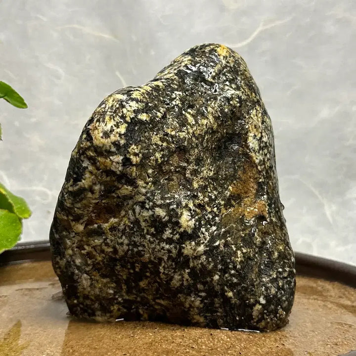 [BUNJANG] Geumgang Tiger Stone / 금강호피석 수석