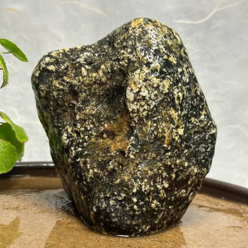 [BUNJANG] Geumgang Tiger Stone / 금강호피석 수석