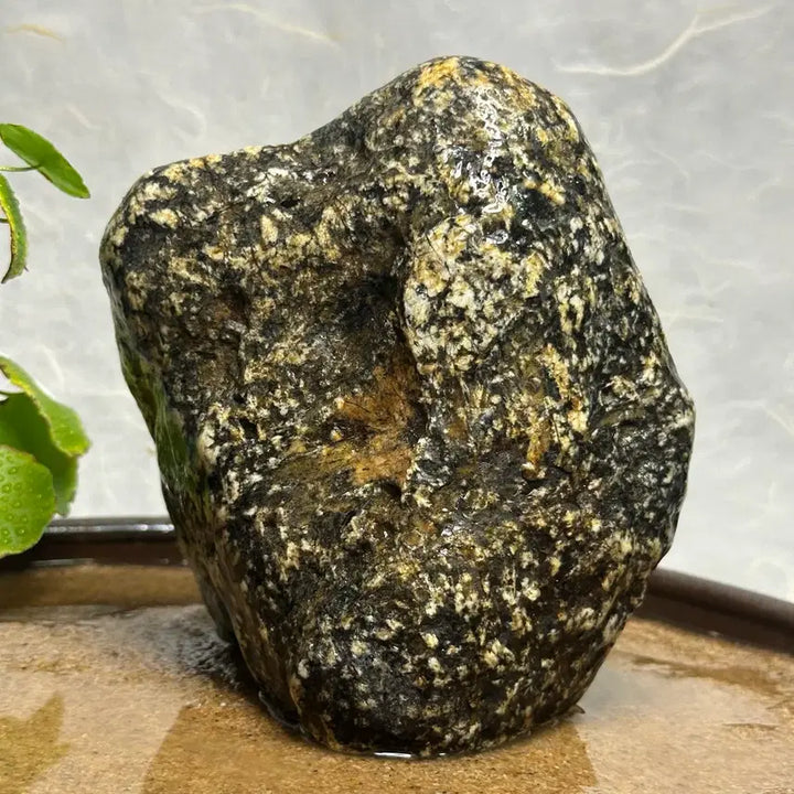 [BUNJANG] Geumgang Tiger Stone / 금강호피석 수석