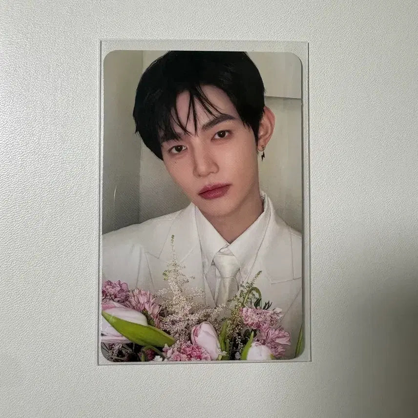 제베원 리플로우 앨범 하오 포카 앨포 포토카드 제로베이스원 reflow