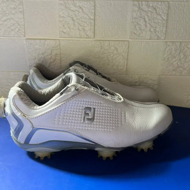 [BUNJANG] Footjoy Golf Shoes / 풋조이 골프화