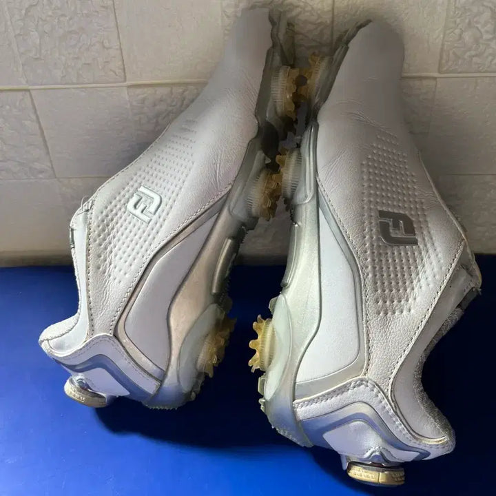 [BUNJANG] Footjoy Golf Shoes / 풋조이 골프화