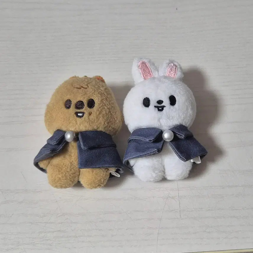 스트레이키즈 스키즈 매직스쿨 스키주 한쿼카, 리빗 일괄판매 합니다!