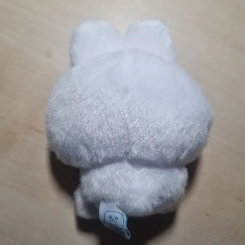 [BUNJANG] PLAVE Yejun Nam Yejun 10cm Doll / 플레이브 예쫑 남예준 10cm 솜인형