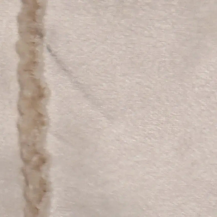 [BUNJANG] NAIN Vintage Suede Faux Shearling Jacket / NAIN 나인 일본 빈티지 스웨이드 핀터깔 봄 무스탕 자켓