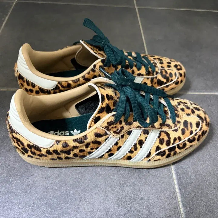 [BUNJANG] Adidas Samba OG Leopard / 아디다스 삼바 OG 레오파드