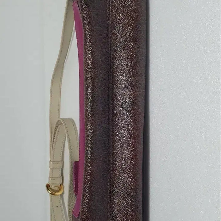 [BUNJANG] Authentic Etro Crossbody Bag / 정품 ㅡ에트로 ㅡ크로스백