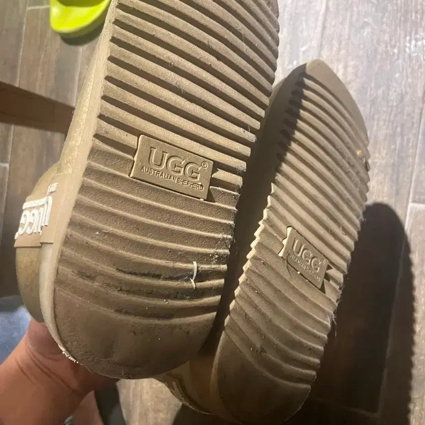 [BUNJANG] UGG Jelly Beige Boots 220 / UGG 어그 부츠 젤리 베이지220