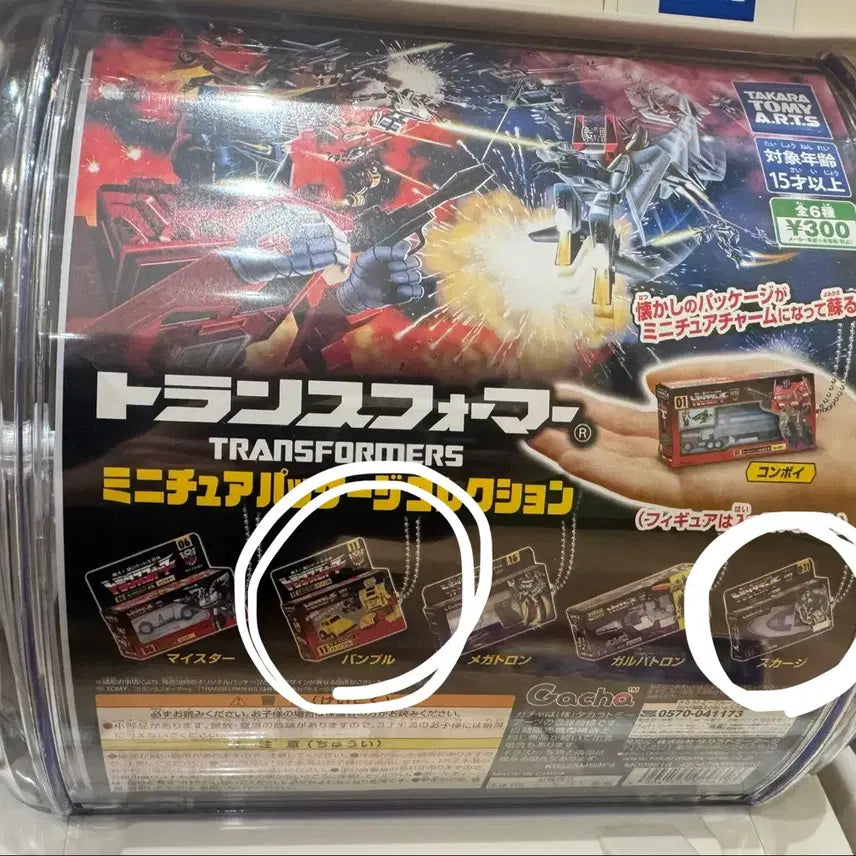 [BUNJANG] Transformers Bumblebee & Scourge Gachapon / 트랜스포머 가챠 범블비+스커지