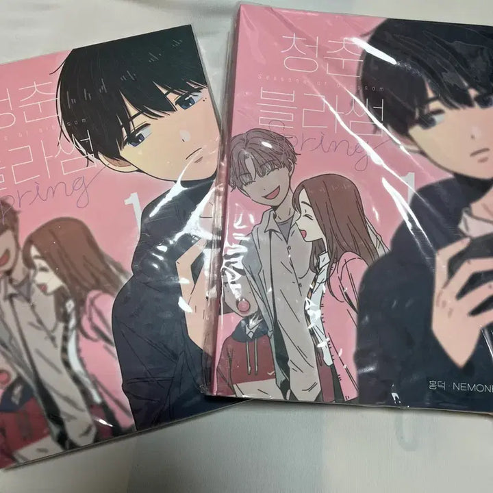 [BUNJANG] BLOSSOM Limited Edition + Regular Edition / 청춘블라썸 한정판