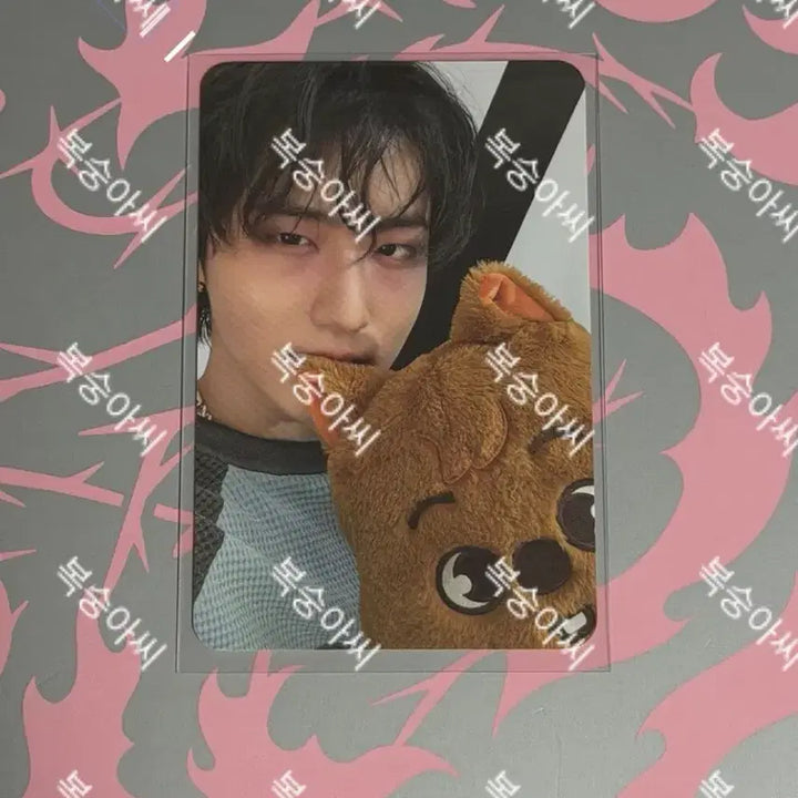 [SOLD OUT] 스키즈 도미네이트 팝업 한지성 포카