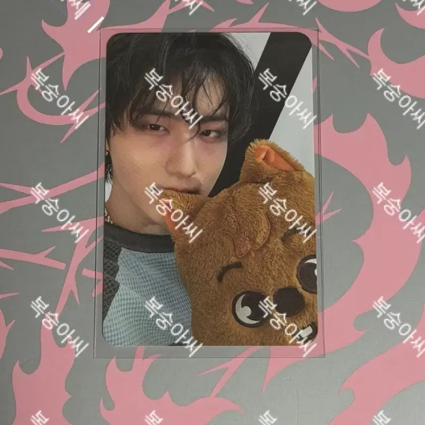 [SOLD OUT] 스키즈 도미네이트 팝업 한지성 포카