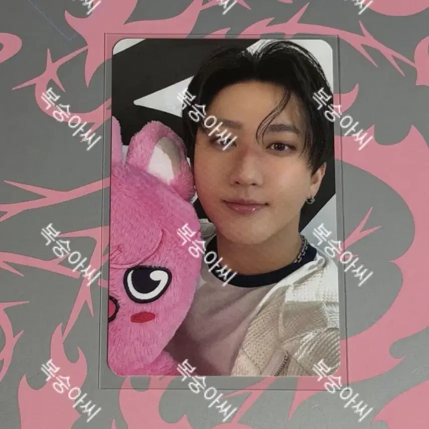 스키즈 도미네이트 팝업 특전 창빈 포카