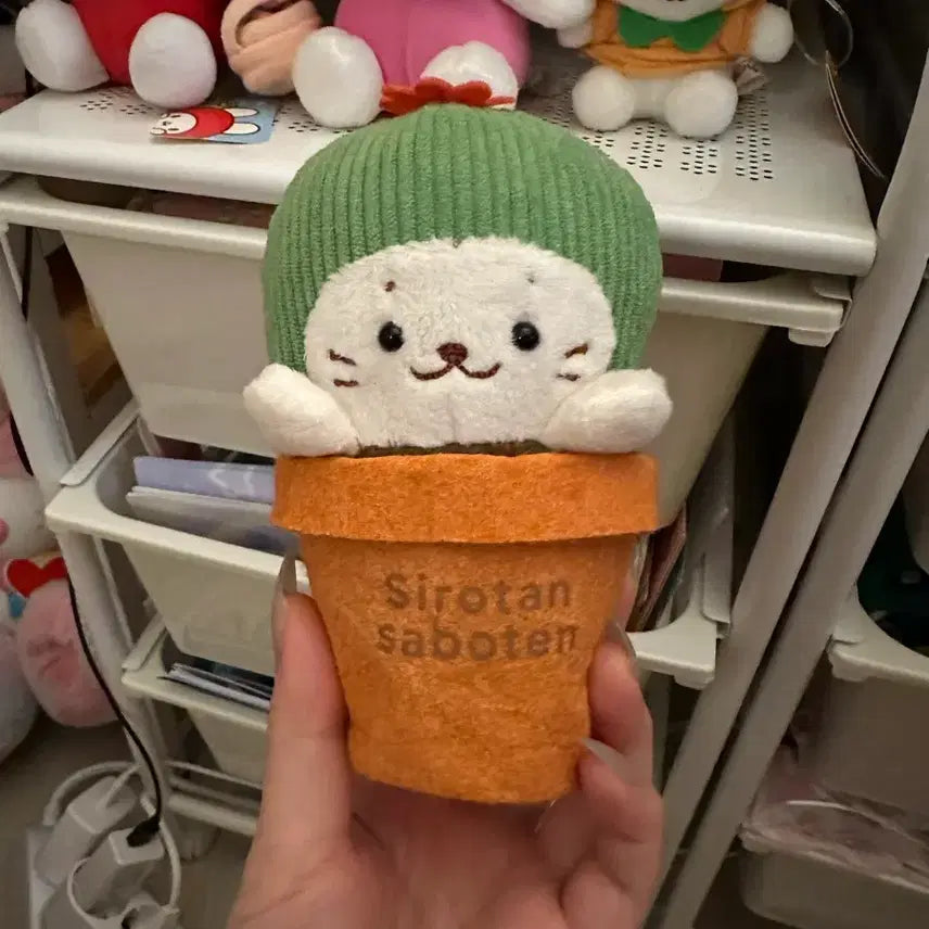 [BUNJANG] Shirotan Cactus Plush Doll with Pot / 시로탄 선인장 인형