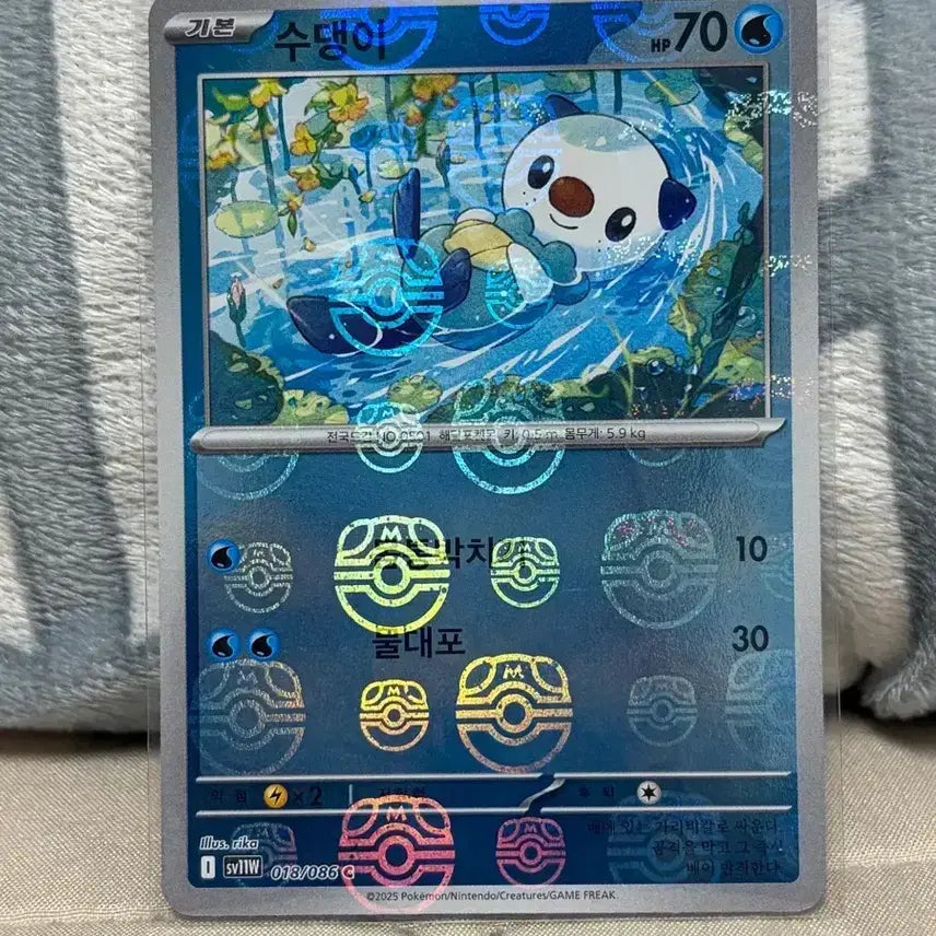 [BUNJANG] Pokemon Master Ball Holo Card - Oshawott / Samurott / 무료배송)포켓몬카드 마스터볼 홀로카드 몽나 / 수댕이 / 대검귀