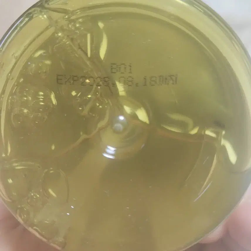 [BUNJANG] Careceal Moisture Centella Shampoo 500ml / 커리쉴 모이스처 센텔라 샴푸 500ml