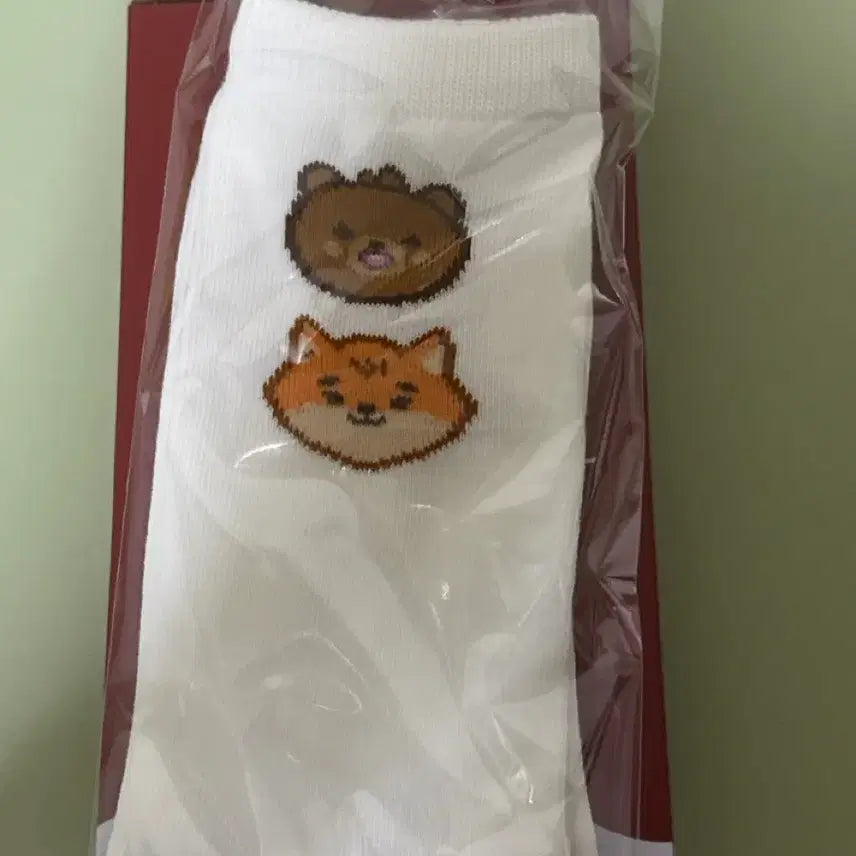 [SOLD OUT] 데이식스 클콘 퇴장 기프트 양말