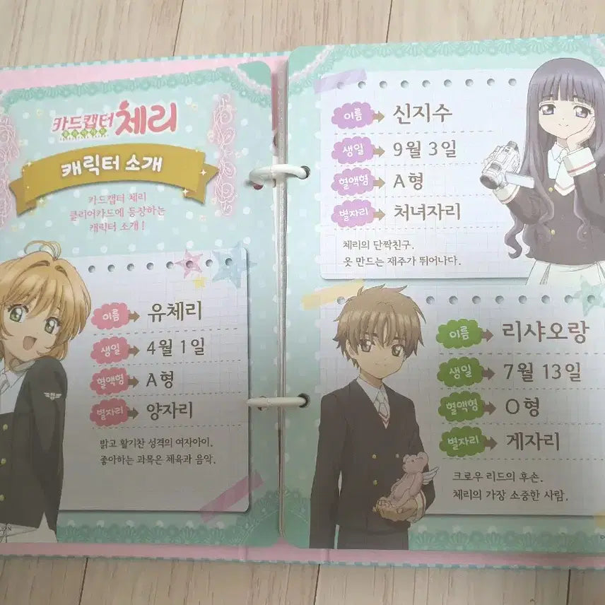 [BUNJANG] Cardcaptor Sakura Fortune Card Diary / 고전 카드캡터체리 포츈 카드 다이어리