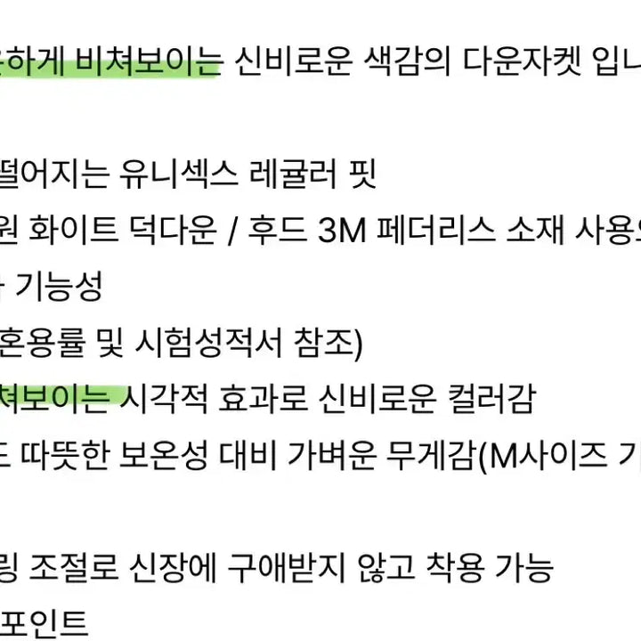 [BUNJANG] Skiizinducing Padded Jacket (Sky Blue) / 스키즘인듀싱 패딩 L (하늘색)