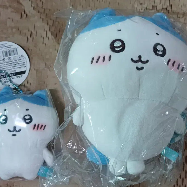 [BUNJANG] Chiikawa Hachiware Mochi Mochi Pucci S Plush / 치이카와 하치와레 모찌 모치 푸치 S 인형 팝니다