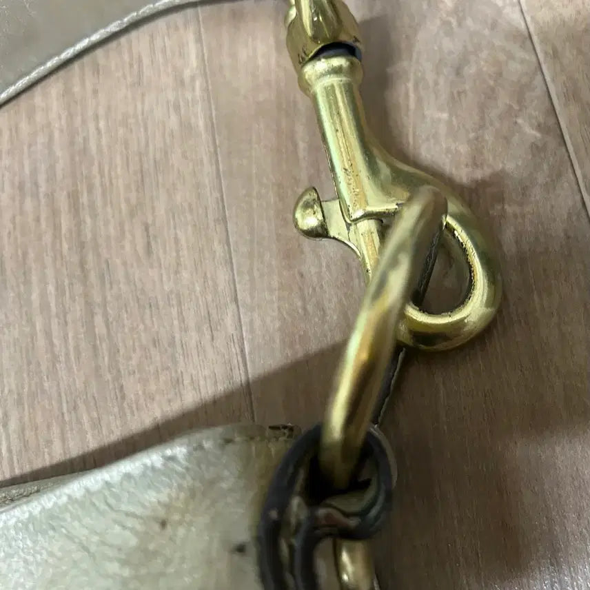 [BUNJANG] Coach Bag / 코치 가방